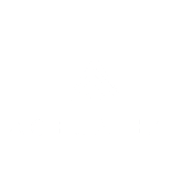 actualize